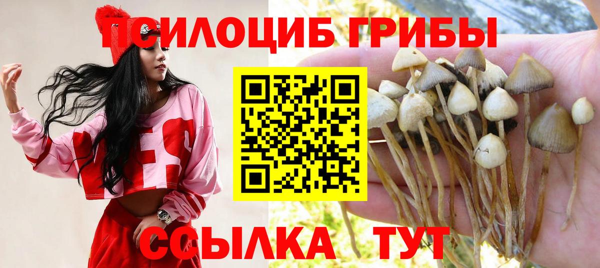 Псилоцибиновые грибы ЛСД  Галлюциногенные грибы прущие грибы  где купить наркоту  Вход с VPN  Кимры 